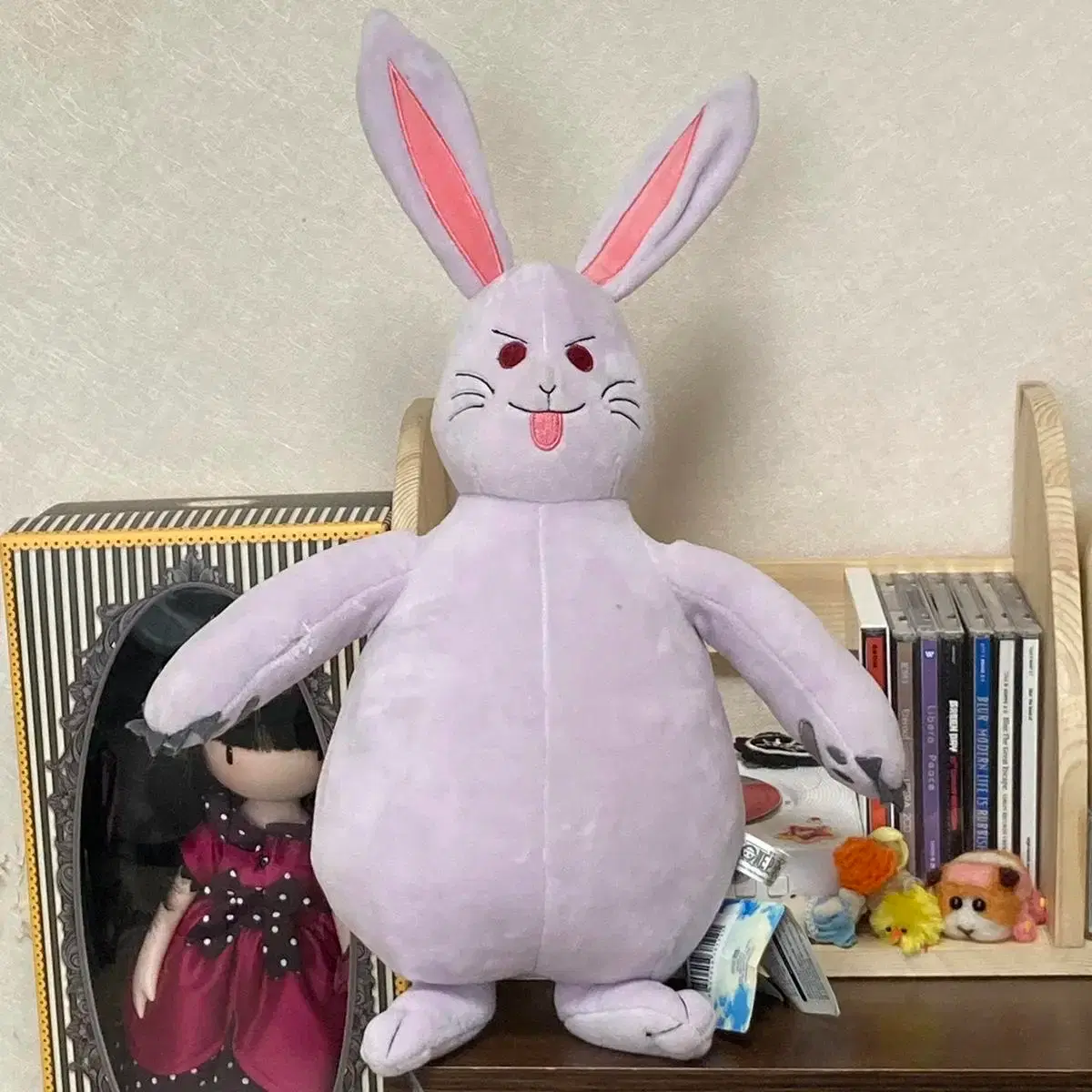 토끼 도난 당한 '129cm' 살아있는 최장신 토끼“돌려주세요”